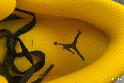 553558- Low Air 1 Jordan 87 Ochre” Minimalist Yellow “ 3623 0804
